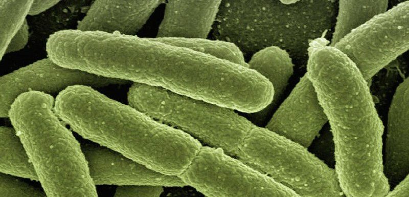 Penemuan Obat Baru Untuk COVID