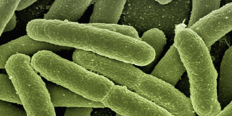 Penemuan Obat Baru Untuk COVID